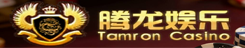 腾龙公司客服经理